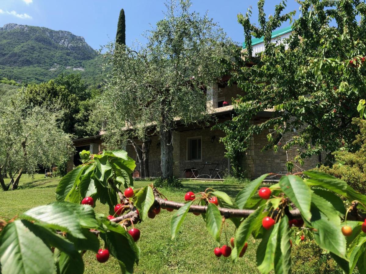 La Cascata Negli Ulivi Bed and Breakfast Toscolano Maderno Exteriör bild