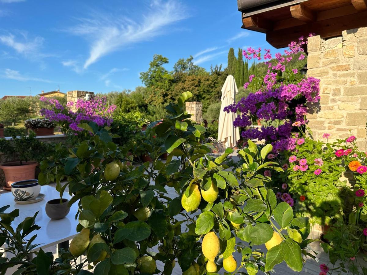 La Cascata Negli Ulivi Bed and Breakfast Toscolano Maderno Exteriör bild