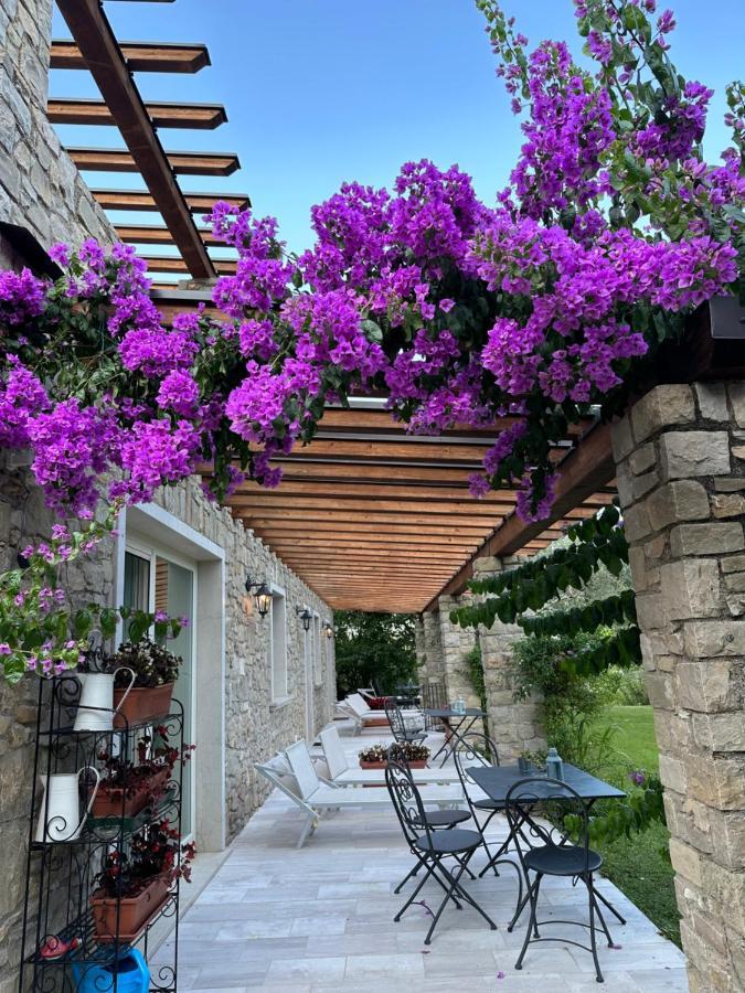 La Cascata Negli Ulivi Bed and Breakfast Toscolano Maderno Exteriör bild