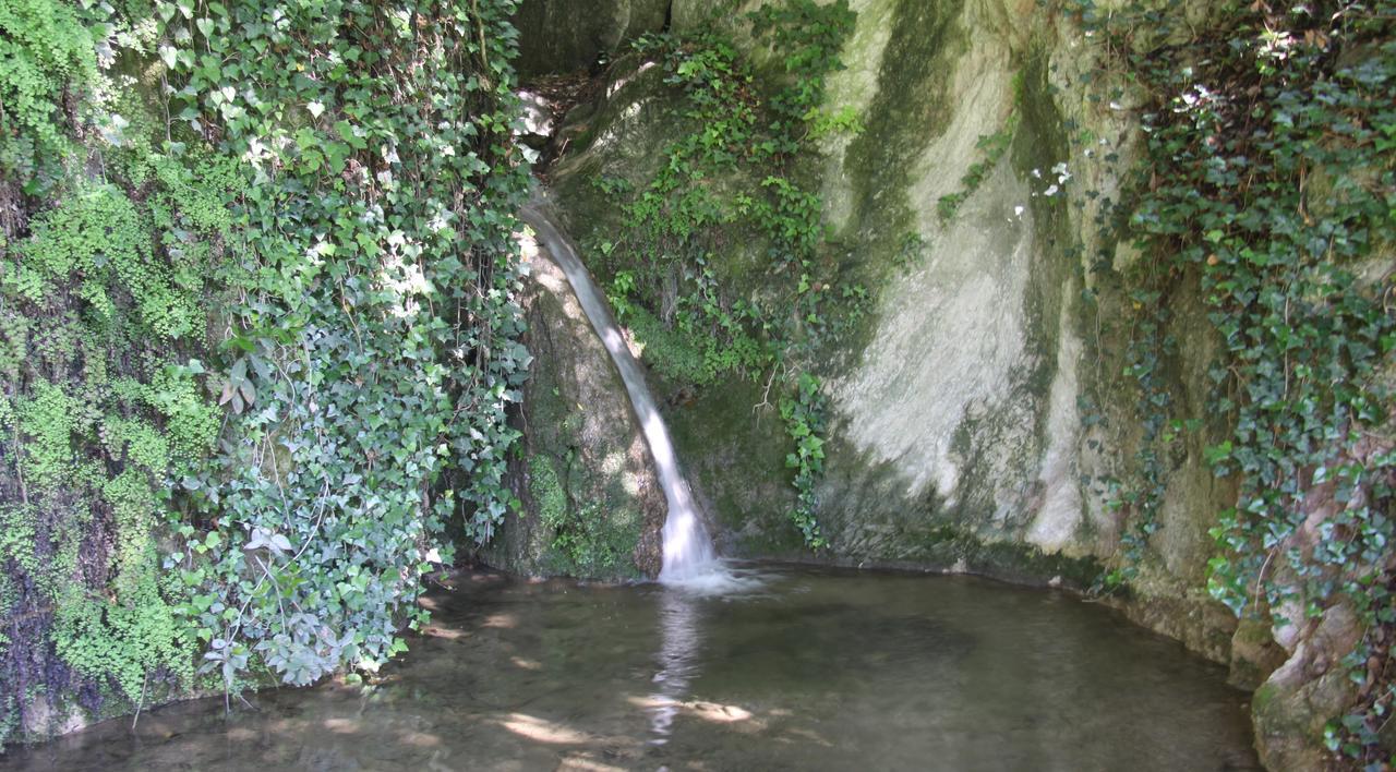 La Cascata Negli Ulivi Bed and Breakfast Toscolano Maderno Exteriör bild
