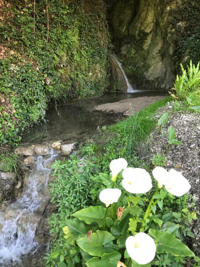 La Cascata Negli Ulivi Bed and Breakfast Toscolano Maderno Exteriör bild