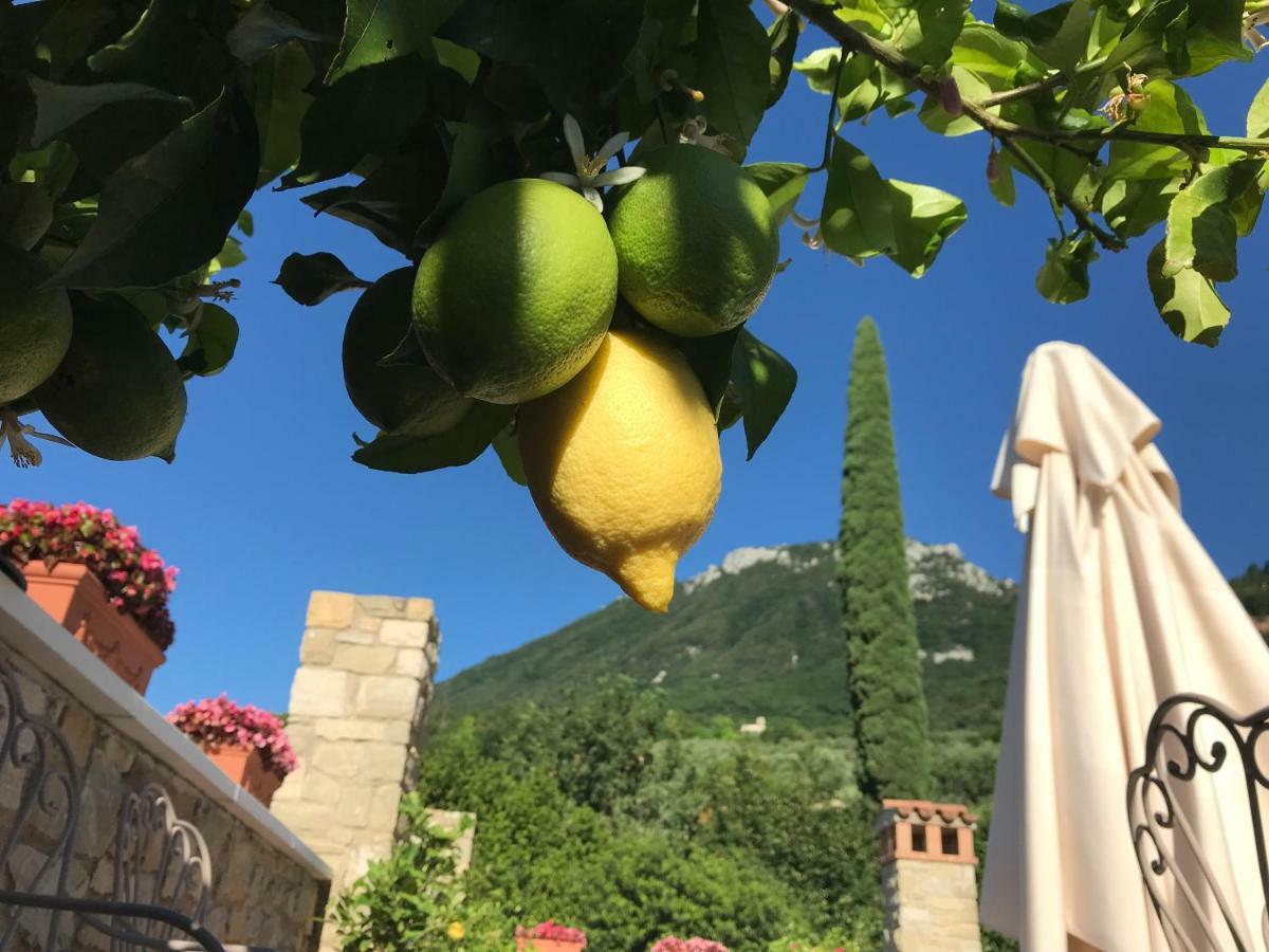 La Cascata Negli Ulivi Bed and Breakfast Toscolano Maderno Exteriör bild
