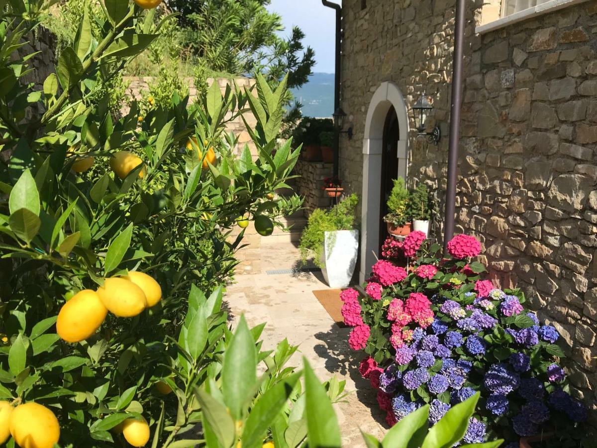 La Cascata Negli Ulivi Bed and Breakfast Toscolano Maderno Exteriör bild