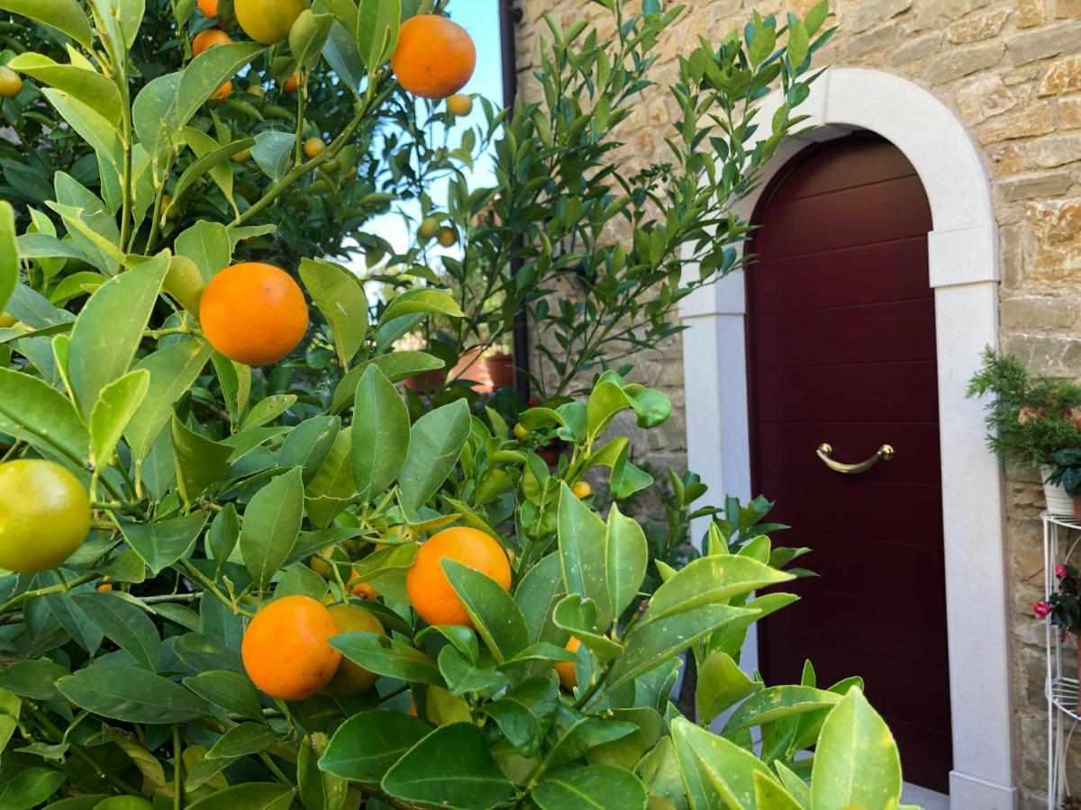 La Cascata Negli Ulivi Bed and Breakfast Toscolano Maderno Exteriör bild
